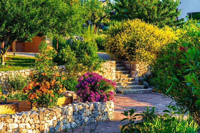 Visit Klis fortress GOT & Olive museum Klis - Is the $14.48 price good value?