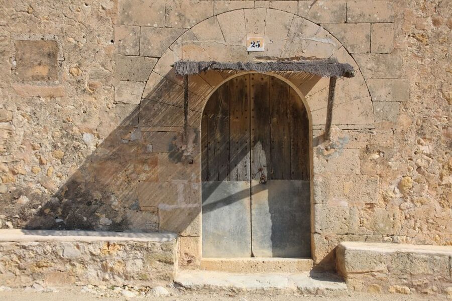 Visit of the olive grove, olive oil tasting and snack - Should you book Finca Treurer?
