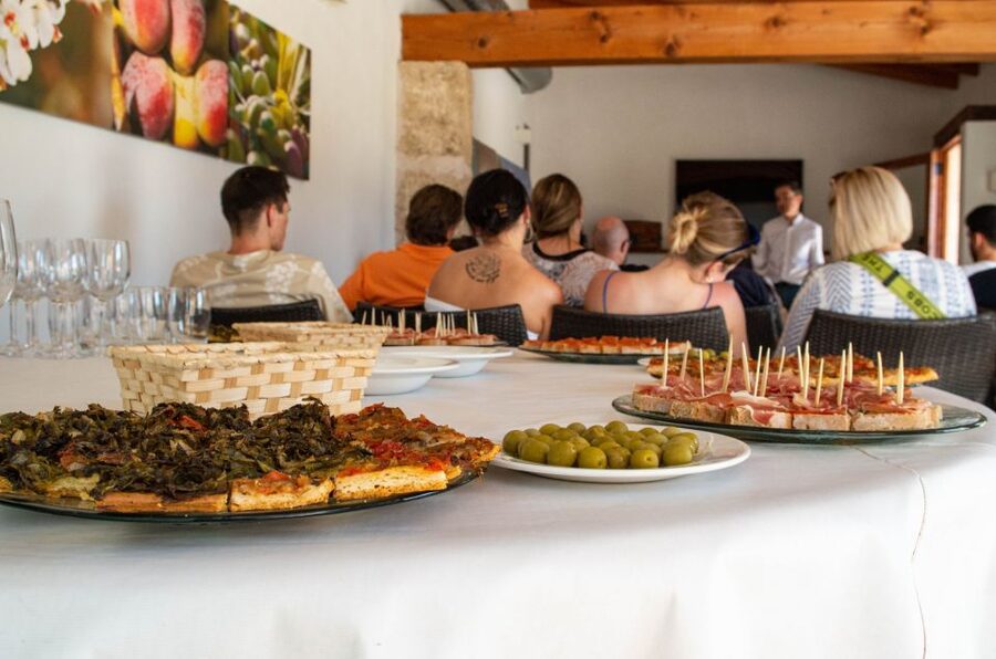 Visit of the olive grove, olive oil tasting and snack - Guides, languages, and the pace of the visit