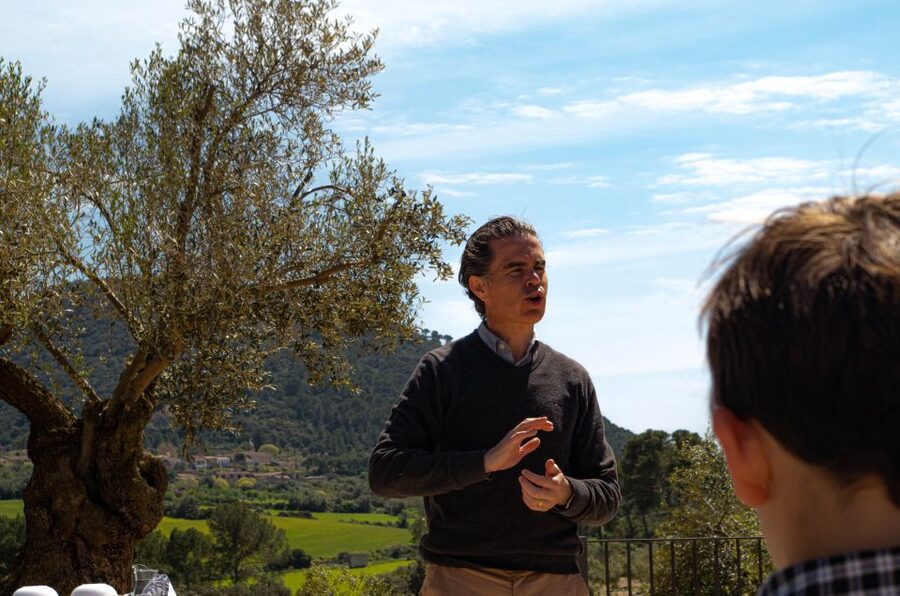 Visit of the olive grove, olive oil tasting and snack - Seeing the mill and the work behind premium EVOO