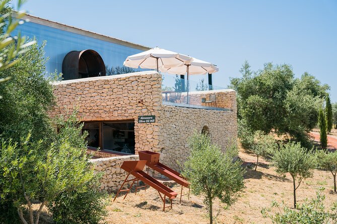 Visit Oil Mill Museum and Olive Oil Tasting in Ronda - Why LA Organic is different from a standard olive oil visit