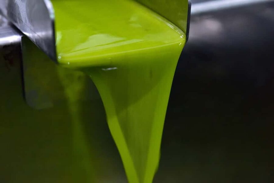 Visit to an olive oil mill and oil tasting with aperitif and food and wine pairing. - Inside La Aceitera de la Abuela