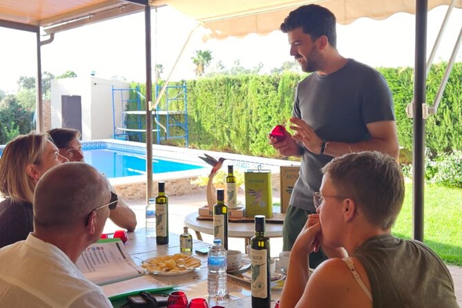 Visit to Family Ecological Olive Tree and Olive Oil Tasting - Key points at a glance