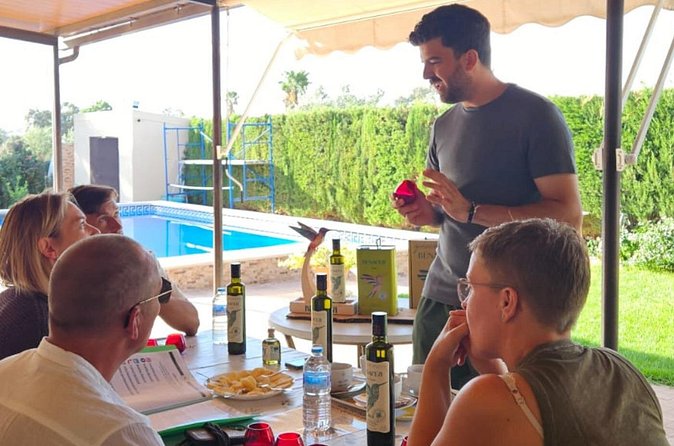 Visit to Family Ecological Olive Tree and Olive Oil Tasting - Learning sustainable cultivation and harvesting
