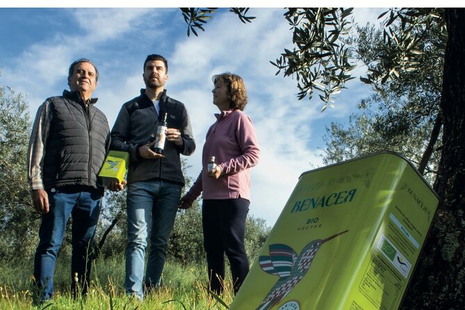 Visit to Family Ecological Olive Tree and Olive Oil Tasting - Picking and tasting seasonal fruit