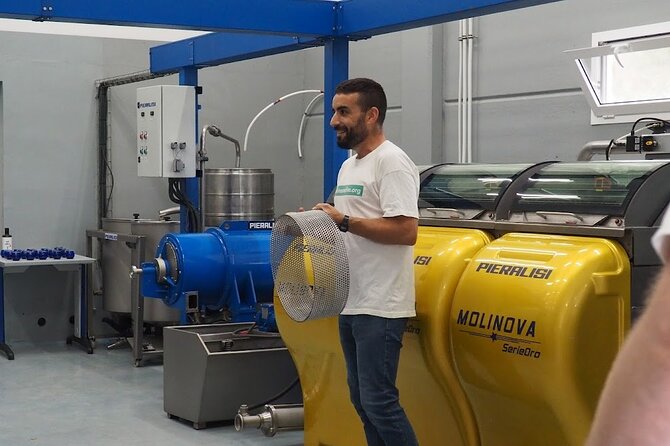 Visit to olive grove and olive mill with oil tasting and tasting - Why this Oliete visit feels different