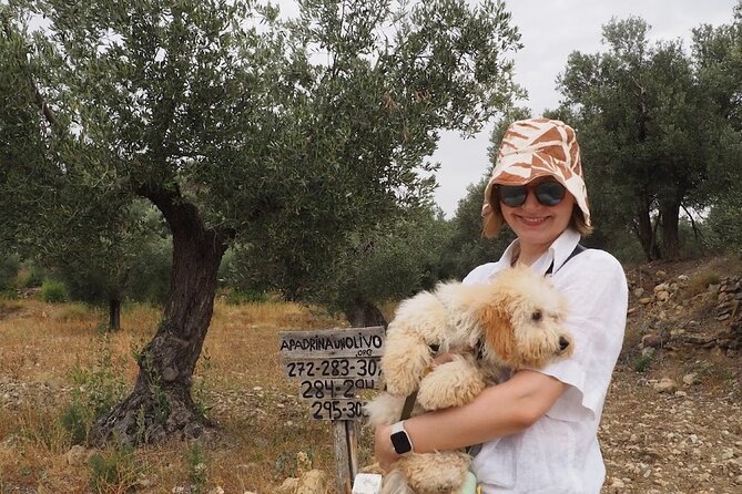 Visit to olive grove and olive mill with oil tasting and tasting - What the price includes, and what it does not