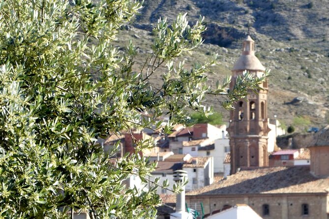 Visit to olive grove and olive mill with oil tasting and tasting - Who will enjoy this experience most