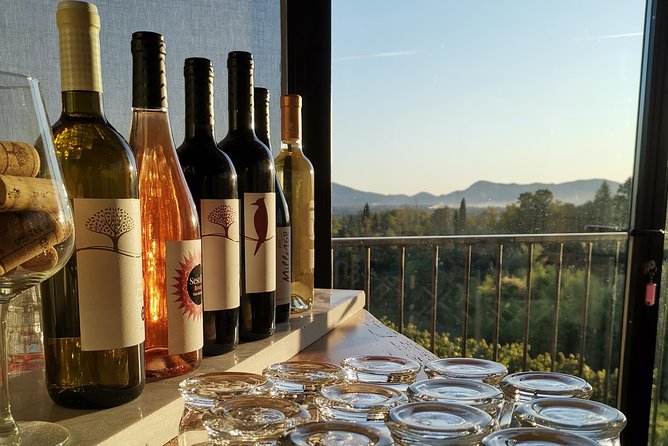 Wine and olive oil tasting & farm tour - The short walk through the farm