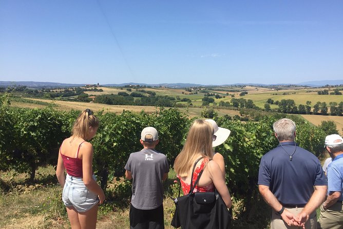 Wine and olive oil tastings with the locals - Key points at a glance
