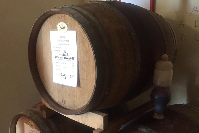 Wine and olive oil tastings with the locals - A 9:30 a.m. start from Arezzo