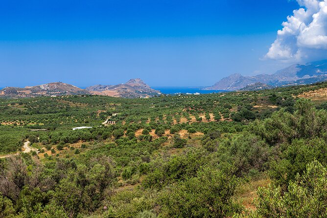 Wine, Beer, Olive Oil Tasting Private Tour (price per group of 6) - Gonia Monastery and a quieter change of pace