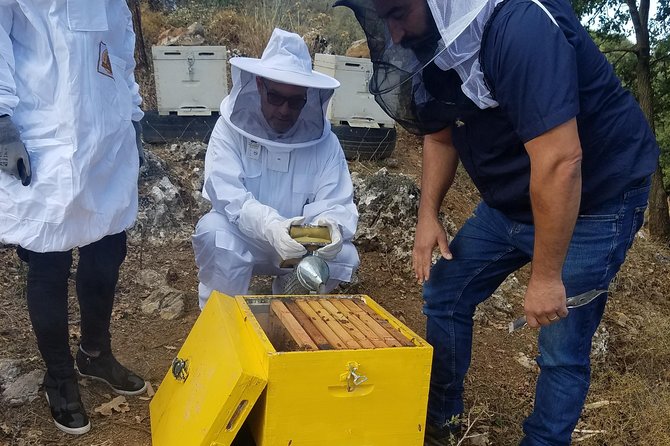 Wine, Olive Oil, and Honey Tour with Winemaker - Key points to know before booking