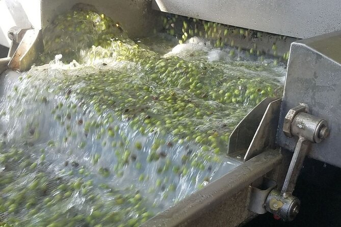 Wine, Olive Oil, and Honey Tour with Winemaker - Into the mountains for Crete’s rural side