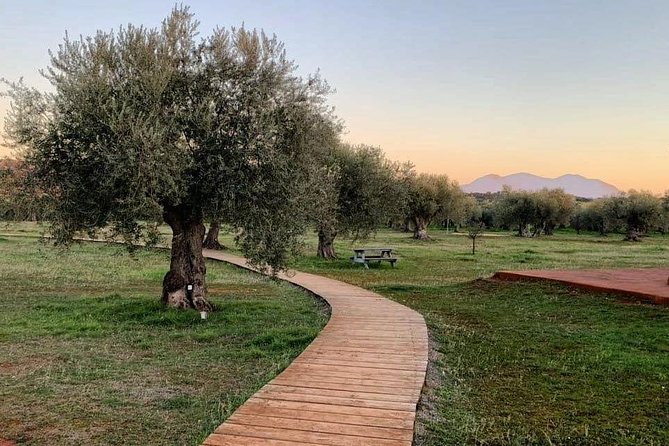 WIne & Olive Oil Tasting in an Organic Farm in Laconia, Greece! - A Working Organic Farm, Not Just a Tasting Room