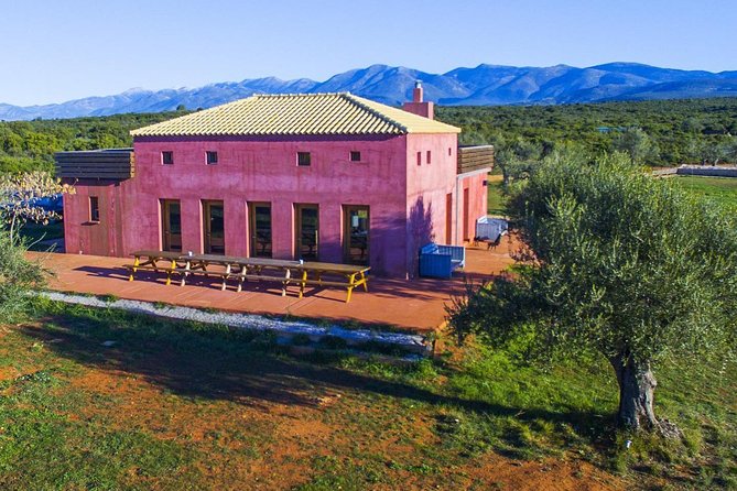 WIne & Olive Oil Tasting in an Organic Farm in Laconia, Greece! - Learning to Taste Four Greek Olive Oils