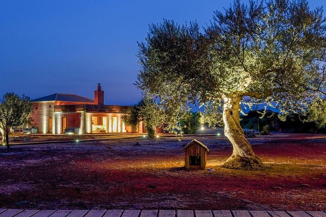 WIne & Olive Oil Tasting in an Organic Farm in Laconia, Greece! - Four or Five Wines Beyond the Familiar Greek Labels