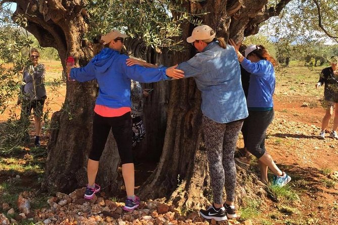 WIne & Olive Oil Tasting in an Organic Farm in Laconia, Greece! - Who Will Get the Most from This Experience