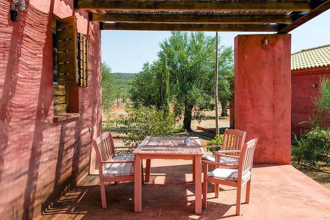 WIne & Olive Oil Tasting in an Organic Farm in Laconia, Greece! - Walking Beneath Olive Trees More Than 500 Years Old