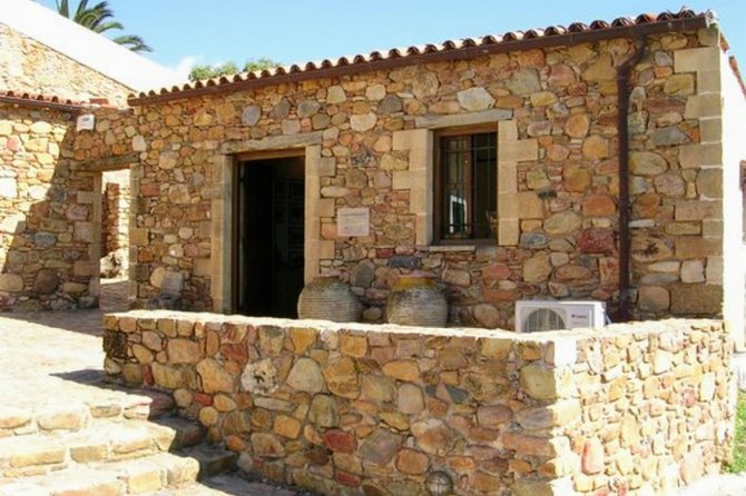 Wine & Olive Oil tasting one day private tour in Crete - Who should book this experience