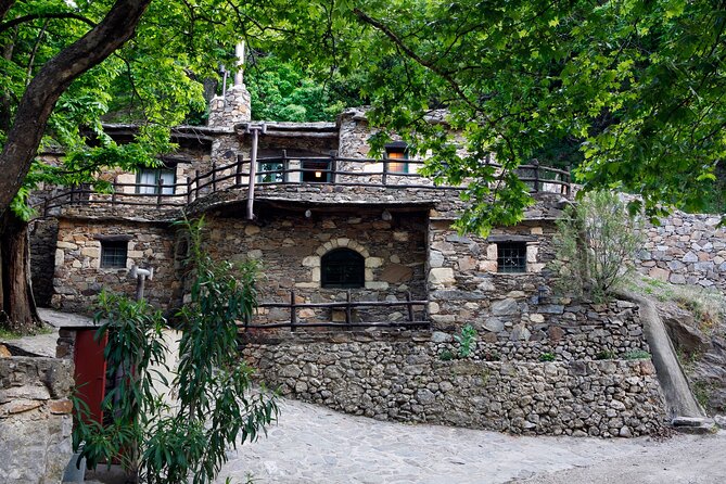 Wine & Olive Oil Tour with Lunch at Milia Mountain Retreat - The best parts of the day