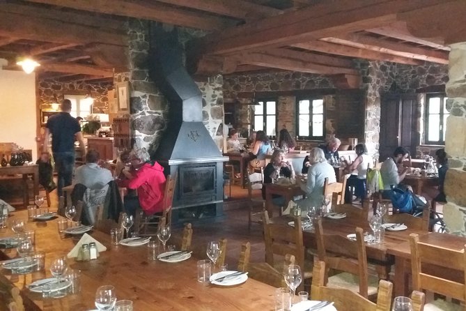Wine & Olive Oil Tour with Lunch at Milia Mountain Retreat - Who should book this experience?