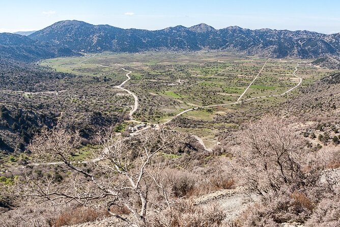 Wine & Olive Oil Tour with lunch at the White Mountains - Vouves and its ancient olive tree
