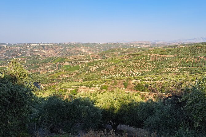 Wine Raki Olive Oil Tasting and Pottery - Private Tour - Transport, pickup, and the real value of $144.35