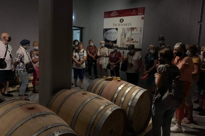 Wine Raki Olive Oil Tasting and Pottery - Private Tour - Who should book this experience?