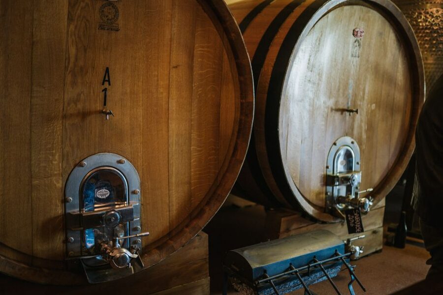 Wine tasting tour with olive oil and salami - Olive oil, bruschetta, and the best part of the table