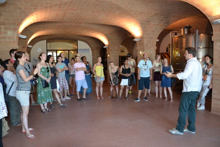 Wine tasting tour with olive oil and salami - Who will enjoy this visit most?