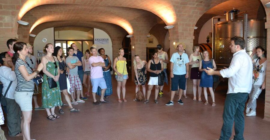 Wine tasting tour with olive oil and salami - Starting with the vineyard and the Sangiovese story