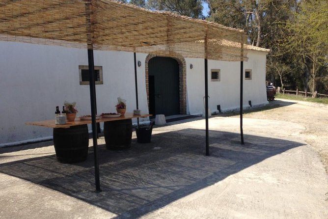 Winery tour with Wine and Olive tasting in Corfu - Is $26.55 good value?