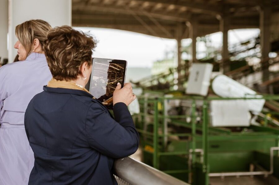 XXI Century Olive Oil Mill Tour - Key points to know before you go