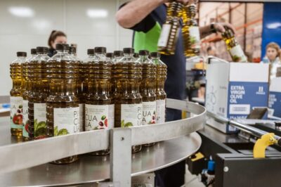 XXI Century Olive Oil Mill Tour