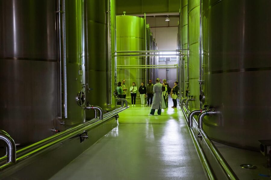 XXI Century Olive Oil Mill Tour - A modern business with a practical purpose