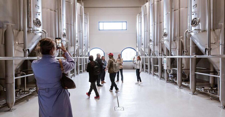 XXI Century Olive Oil Mill Tour - How the 45-minute timing affects your visit