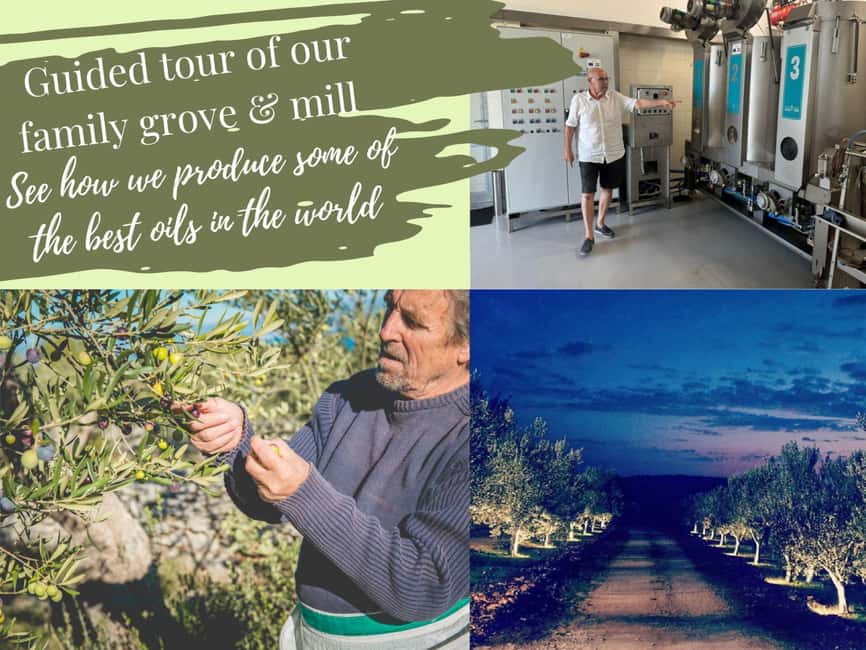 Zadar Olive Oil & Wine with Dalmatian Views & History - Croatian Sparkling Wine and Regional Bottles