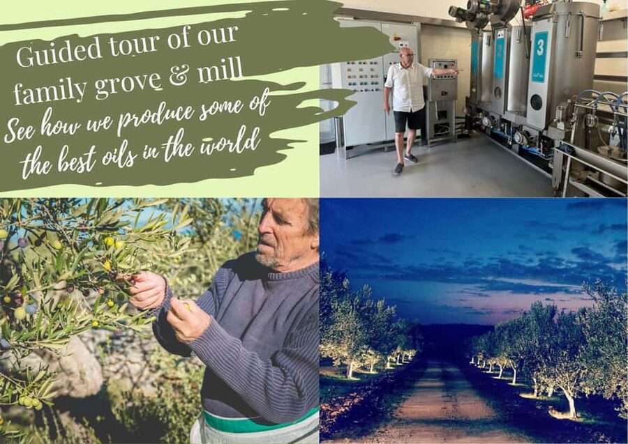 Zadar, Šibenik: olive oil, wine & food tasting, Self Drive - Learning to taste five Croatian olive oils